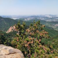 評論圖片 6