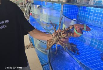 老太太海鮮城（森林公園任家台店）用戶圖片