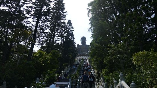 香港天坛大佛是在香港十分出名的佛教圣地，每年吸引众多香港人和
