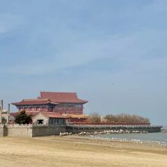 宾朋海鲜饭庄(兴海路二店) User Photo