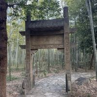 評論圖片 8