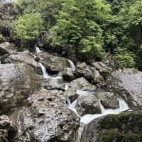 評論圖片 2