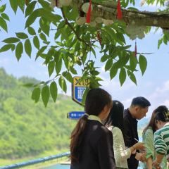 塘三菜·纯野露营咖 User Photo