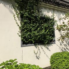 YIYUAN RESTAURANT User Photo