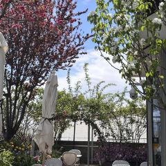 Peking Garden User Photo