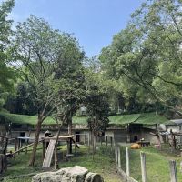 評論圖片 8