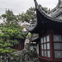 評論圖片 4