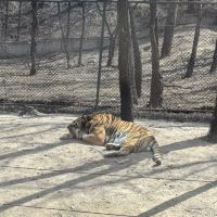 評論圖片 1