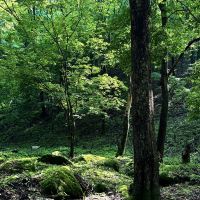 評論圖片 7