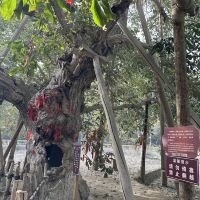 評論圖片 1