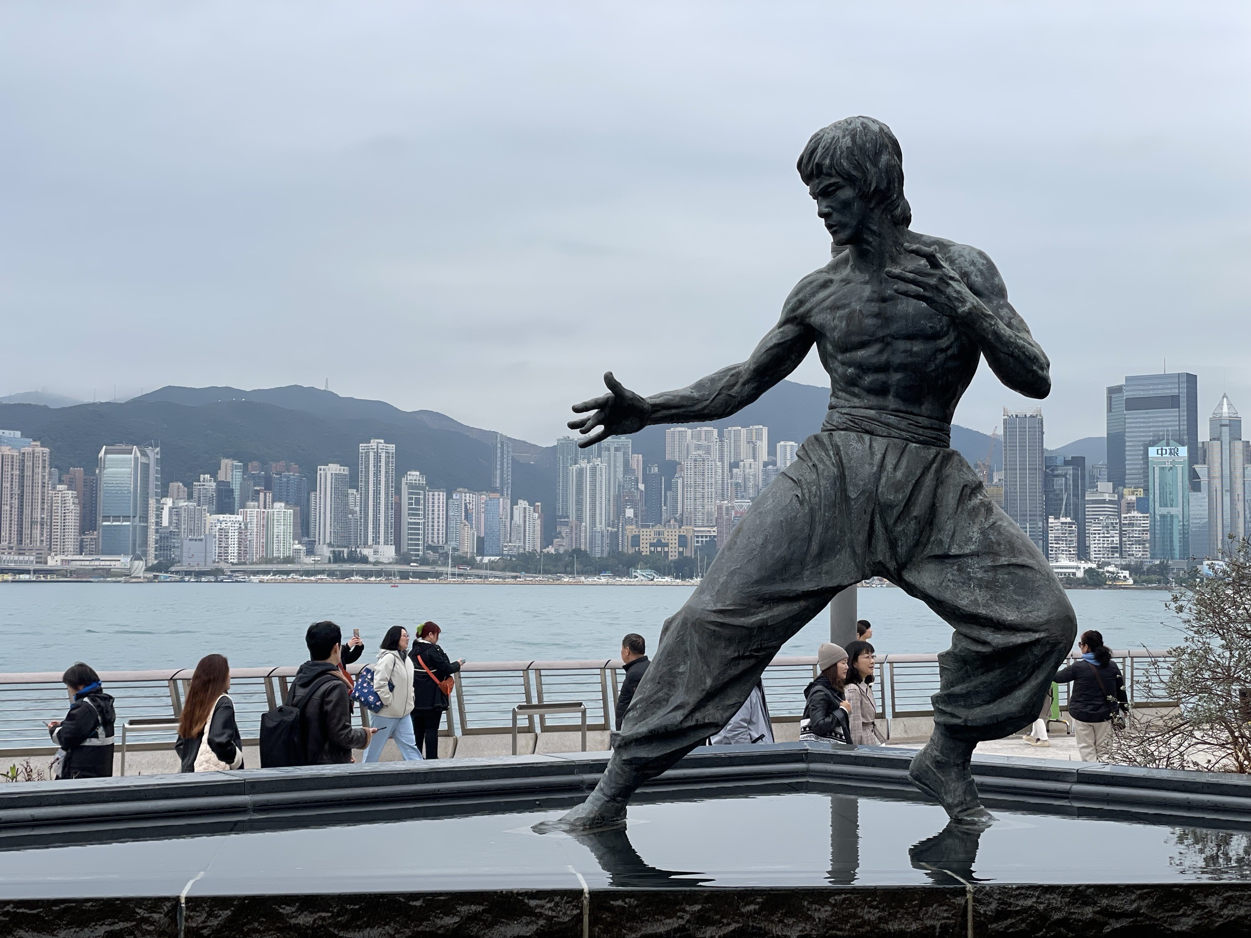 BRUCE LEE ブルース・リーの胸像　ブロンズ肖像　約30cm BRUCE LEE ブルース・リーの胸像 ブロンズ肖像 約30cm