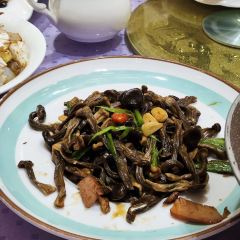 Dalianyugang User Photo