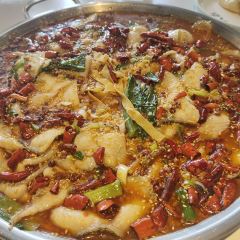 金大吉·鲜鱼火锅(世和广场店) User Photo