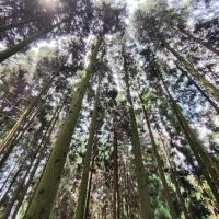 評論圖片 7