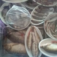 家常菜馆 User Photo