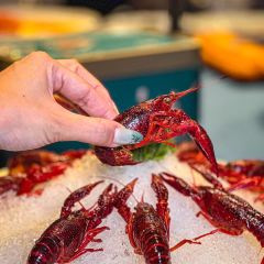 熙唐宴 User Photo