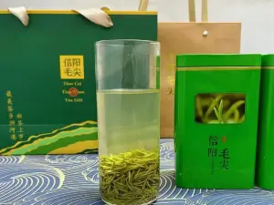 冷洼鹏哥茶园