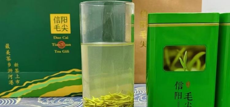 冷洼鹏哥茶园