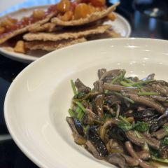 Laoxingxian User Photo