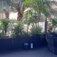 唐堂中餐廳張用戶圖片