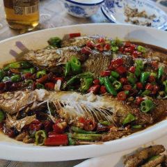 Xiangweitucaihuoyuguan (shinianlao) User Photo