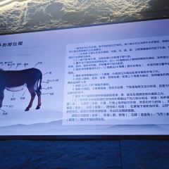 QIAO LAO YE LV ROU GUAN PU SHAN LU DIAN User Photo