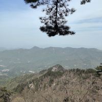 評論圖片 5