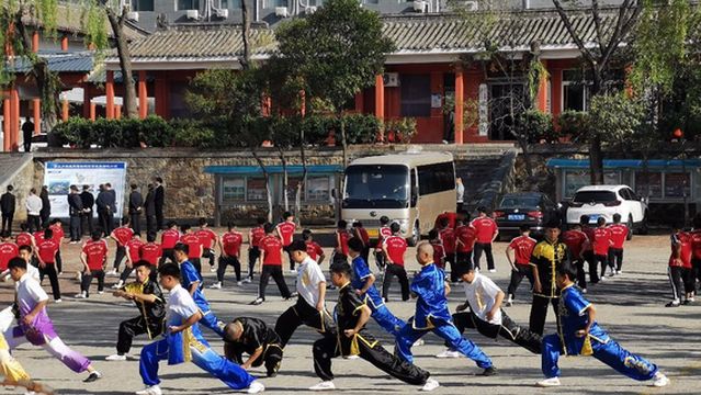 Shaolin Temple Tagou Martial Arts School