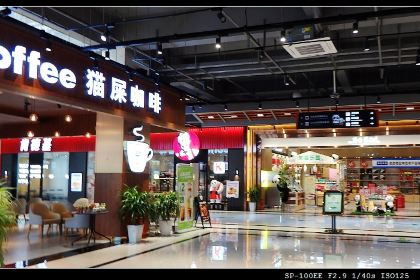 猫屎咖啡(天全服务区店)