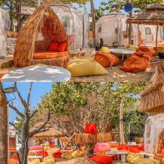 SEESEA Again User Photo