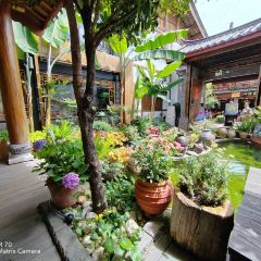浮娴小锅饭·云南民俗风味餐厅(束河古镇店) User Photo