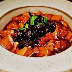 SUN PLANT User Photo