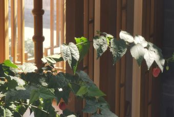 Qianxue RESTAURANT User Photo