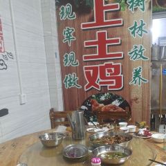 树上土鸡 User Photo