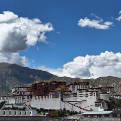 温莎咖啡公馆(布达拉宫景观店) User Photo