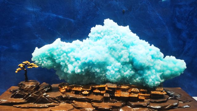 guang xi zi ran zi yuan bo wu guan