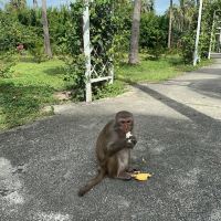 評論圖片 3