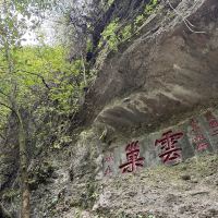 評論圖片 3