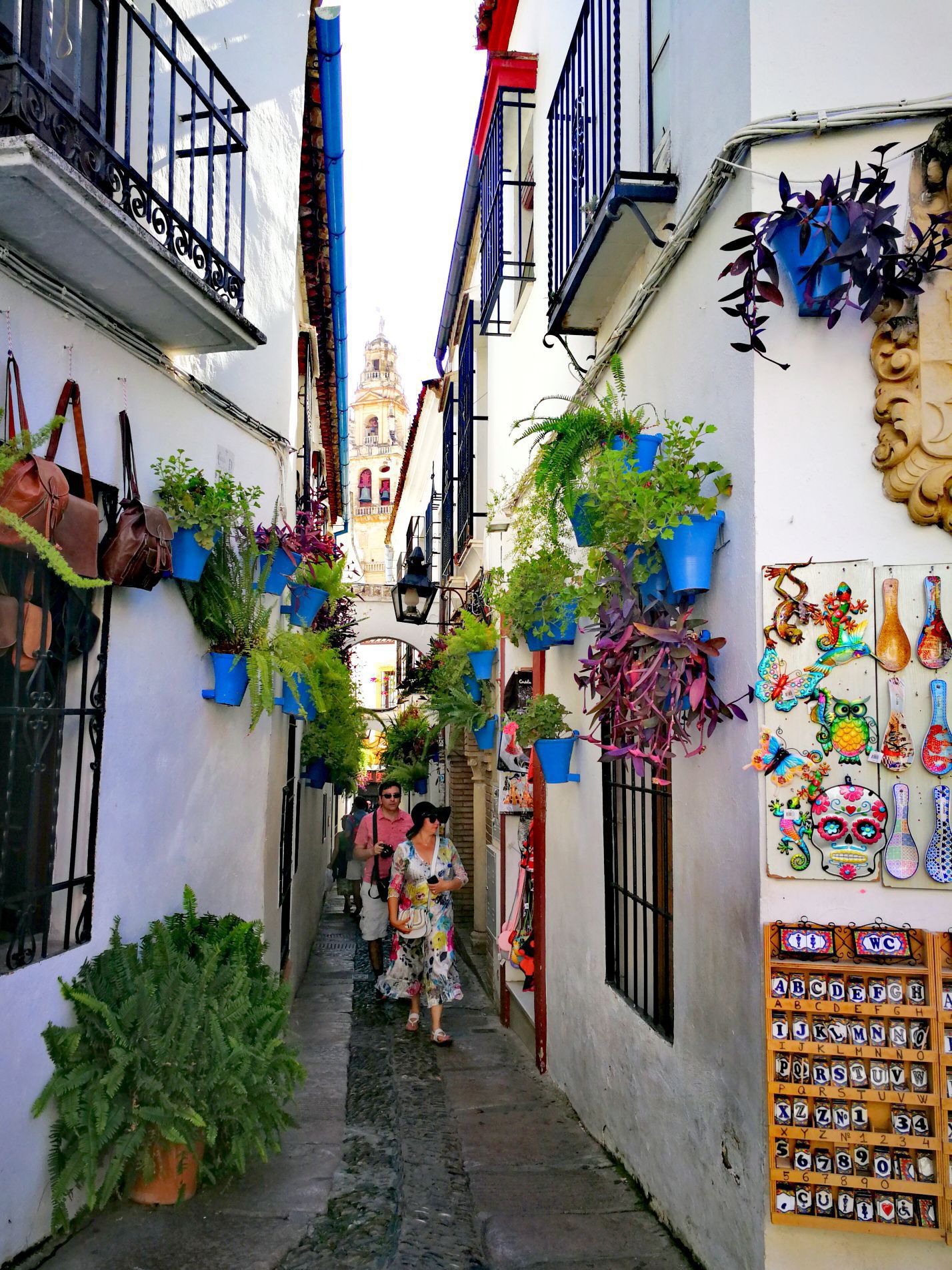 Calleja de las Flores attraction reviews - Calleja de las Flores tickets - Calleja de las Flores discounts - Calleja de las Flores transportation, address, opening hours - attractions, hotels, and food Calleja de las Flores attraction reviews - Calleja de las Flores tickets - Calleja de las Flores discounts - Calleja de las Flores transportation, address, opening hours - attractions, hotels, and food