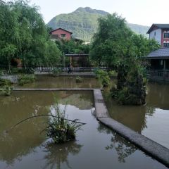 五厂坝休闲农庄 User Photo