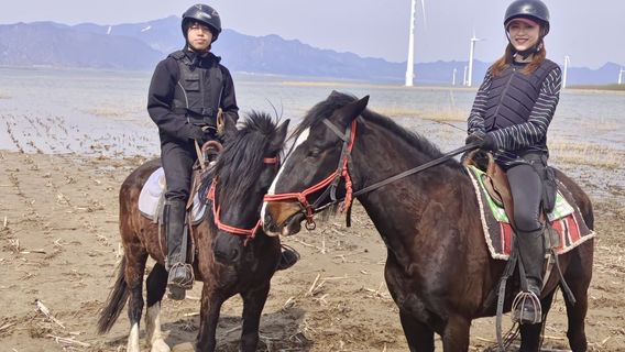 shen ma ma shu ju le bu · ye qi · jiao xue xun lian ying