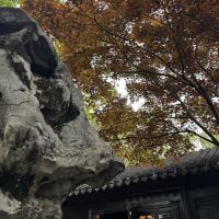 評論圖片 4