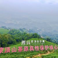 評論圖片 7