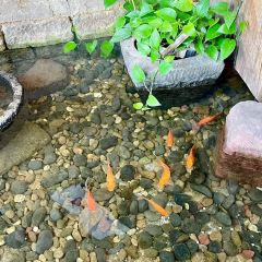 Lee Home 여행 사진