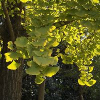 評論圖片 3