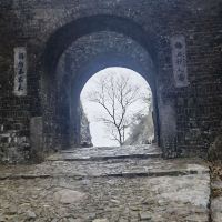 評論圖片 8