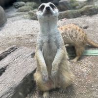 評論圖片 7