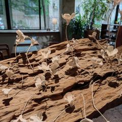 LANPAICOFFEE User Photo