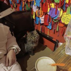 梁先森·酸奶 User Photo