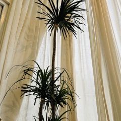 平潭岛YOOOO·枕海入眠海景度假酒店·风车海餐厅 User Photo